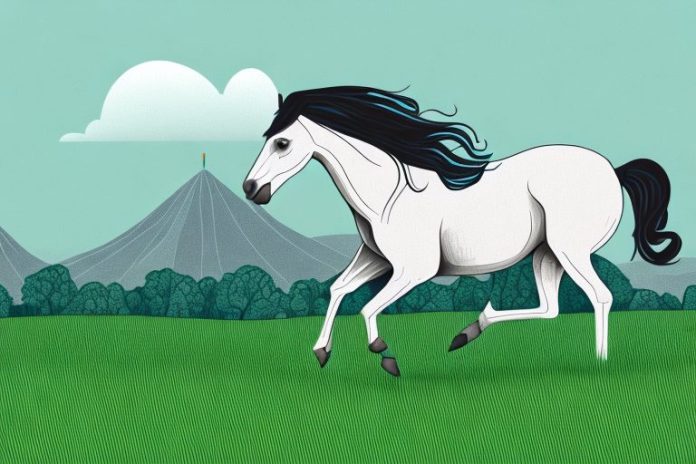 A brumby horse galloping through a grassy landscape in tzaneen