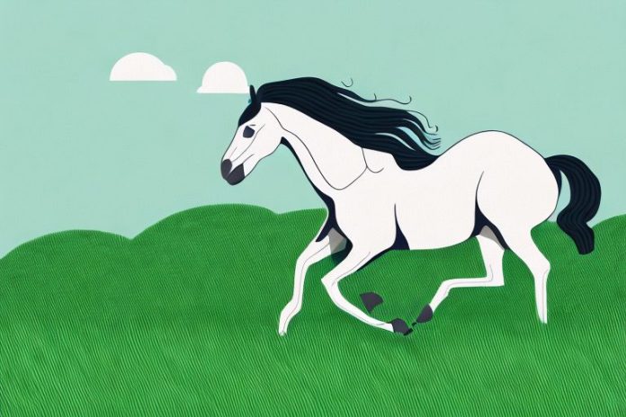 A brumby horse galloping through a grassy landscape in modimolle