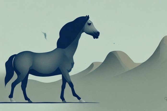 A brumby horse in the landscape of de aar