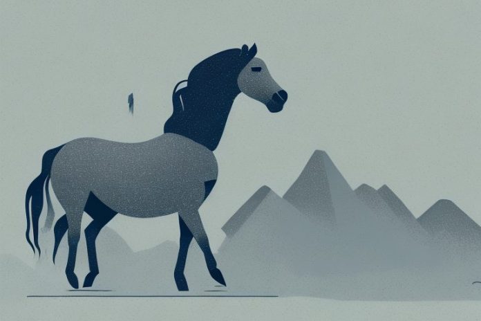 A brumby horse in a landscape of mogwase