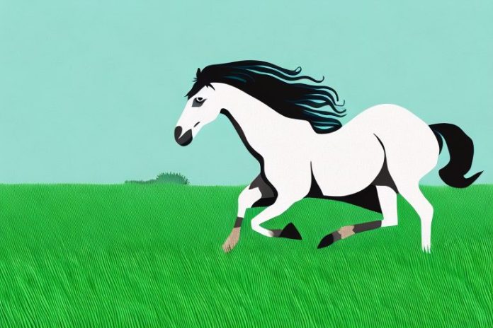 A brumby horse running through a grassy field in knysna