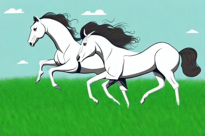 A horse galloping through a grassy field in westville