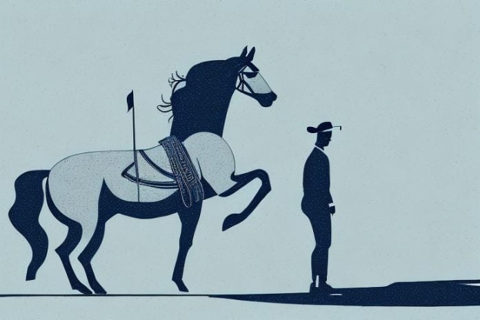 A horse and rider in the northern cape landscape
