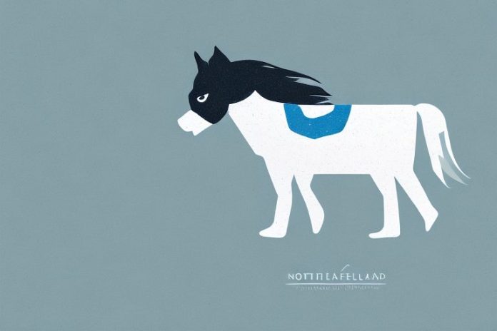 A shetland pony in the northern cape landscape