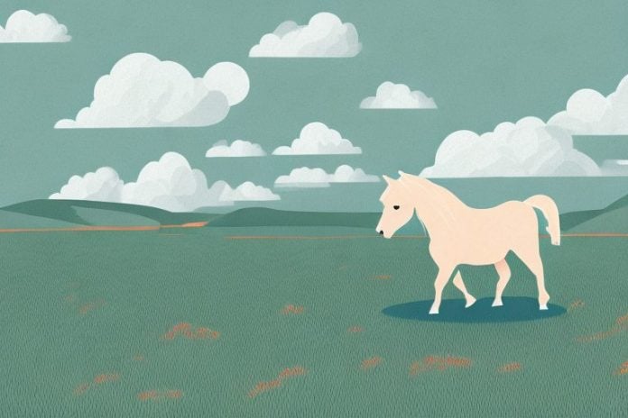 A shetland pony in a landscape setting in calvinia