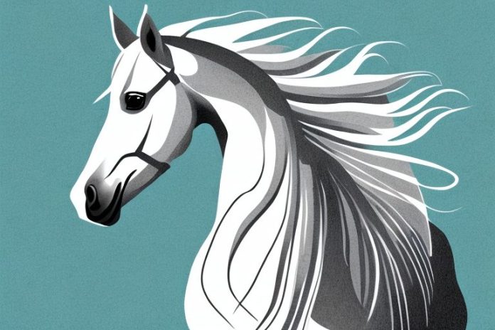 An andalusian horse in a rural setting