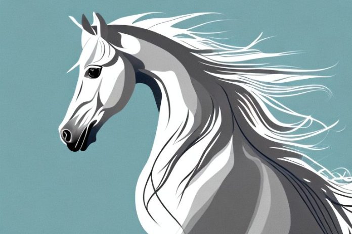 An andalusian horse in a north west landscape