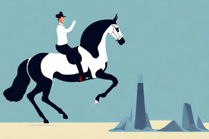 A belgian warmblood horse in a show jumping setting