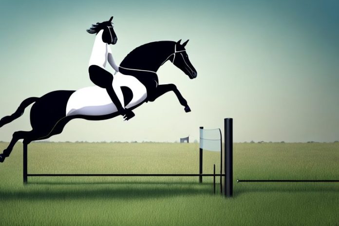 A belgian warmblood horse jumping over a fence in a field in lebowakgomo