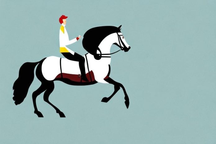 A belgian warmblood horse being ridden in a mogwase landscape