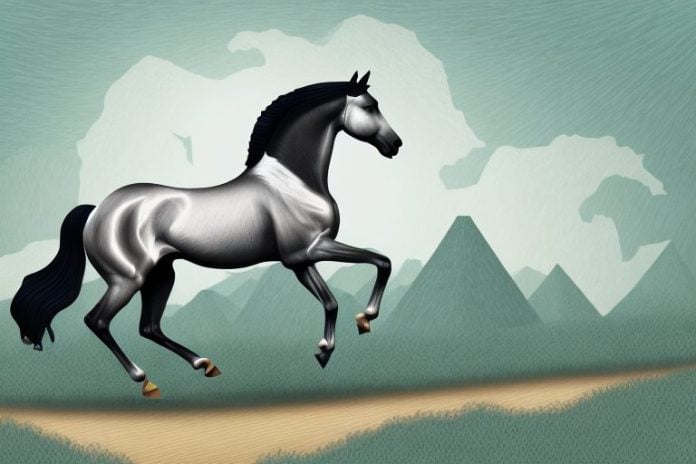 A hanoverian horse galloping through a scenic landscape in hartbeespoort