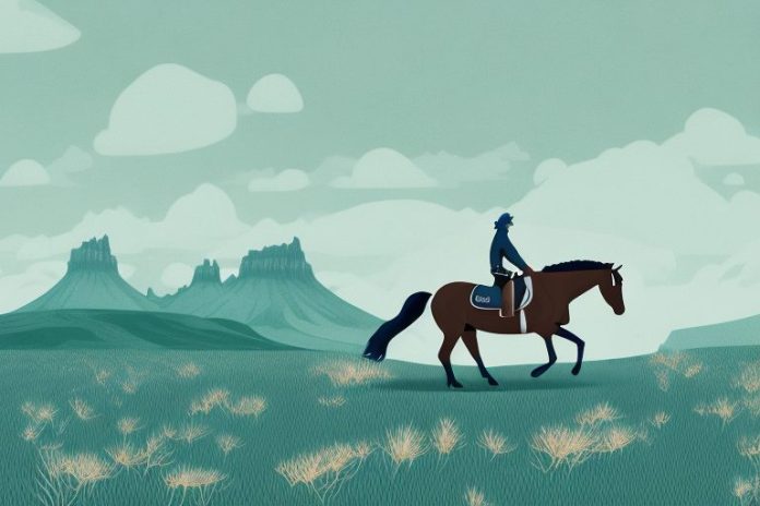 A horse and rider in a natural icelandic landscape