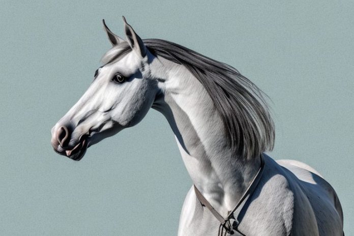 An andalusian horse in a rural setting in east london