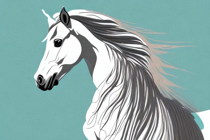 An andalusian horse in a virginia