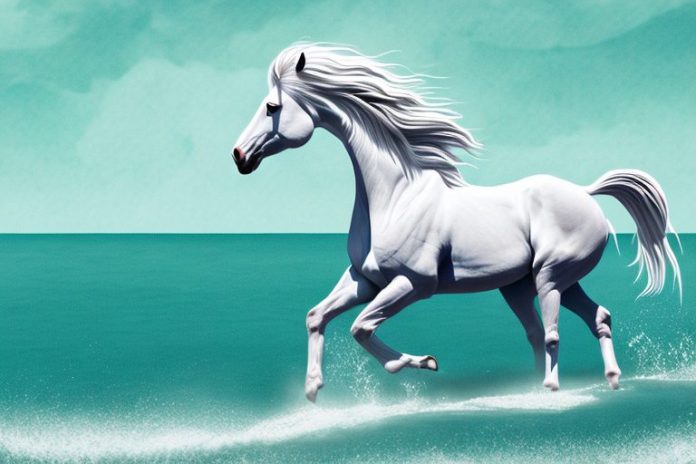 A majestic fjord horse galloping along a beach in ballito