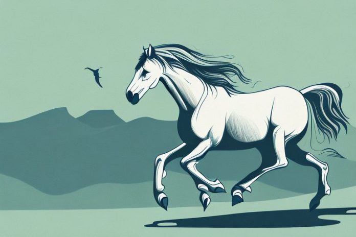 A majestic fjord horse galloping through the rolling hills of jeffreys bay