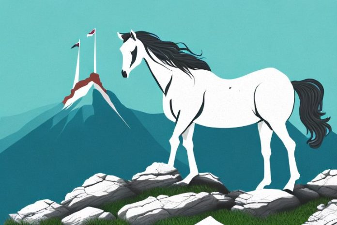 A majestic horse standing atop a rocky mountain in port elizabeth