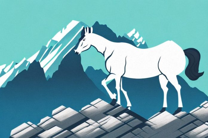 A majestic horse standing atop a rocky mountain in queenstown