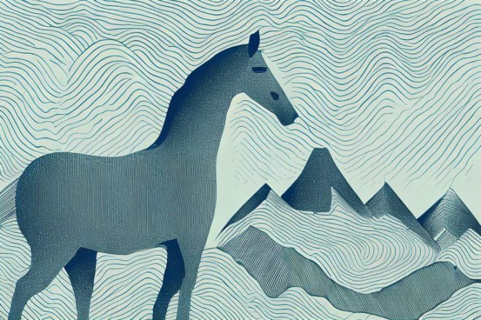 A horse in the mountains of king william's town