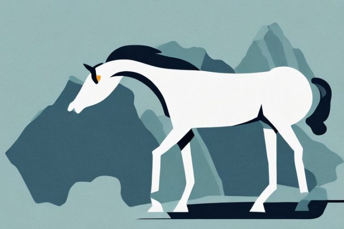 A horse in the rocky mountains of knysna