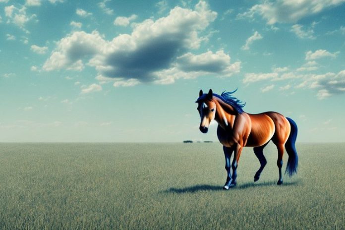A mustang horse in a field in sasolburg
