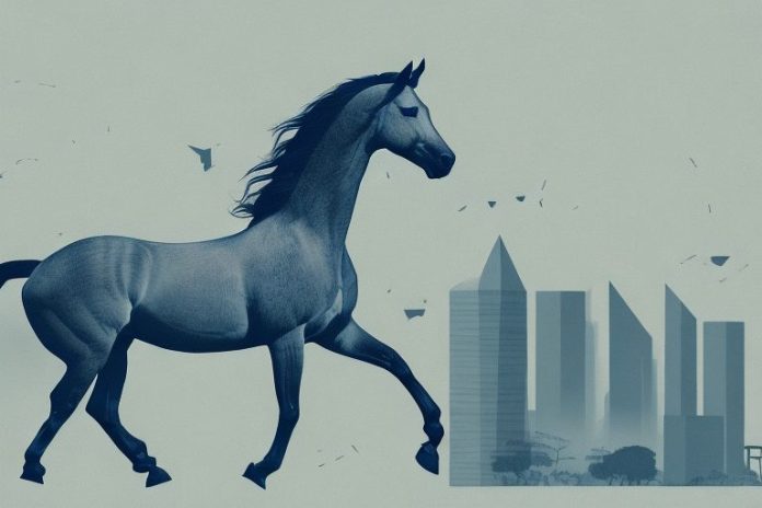 A mustang horse in a johannesburg landscape