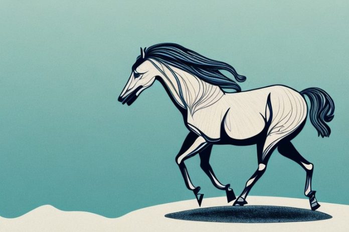 A brumby horse in its natural habitat in ballito