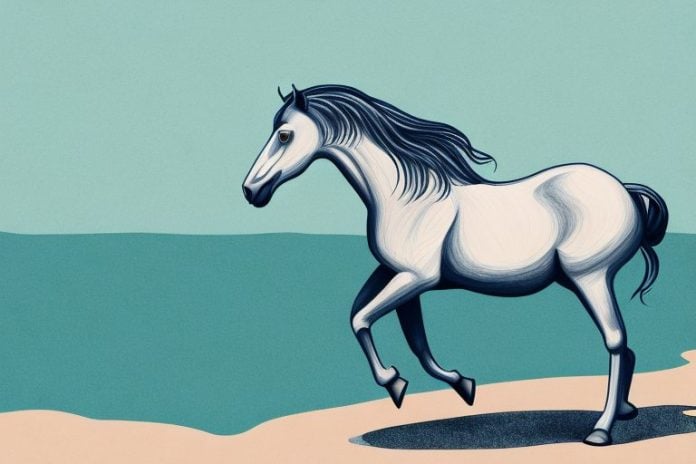 A brumby horse in its natural habitat in mossel bay