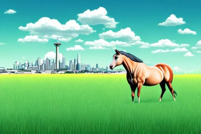A horse in a field of tall grass with the richards bay skyline in the background