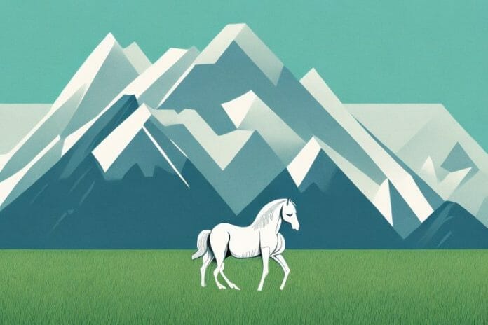 A horse in a field