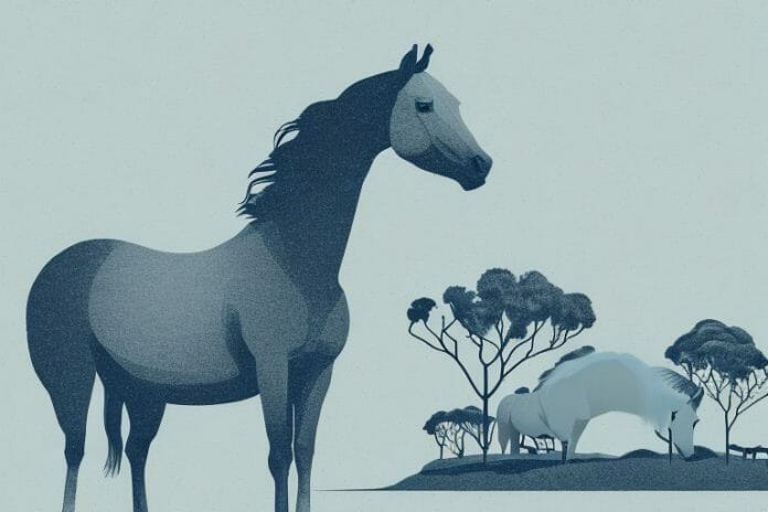 A horse in a gauteng