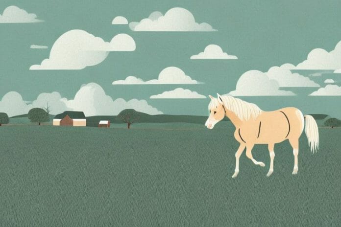 A haflinger horse in a rural landscape in newcastle
