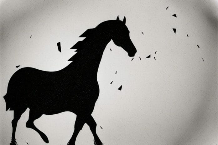 A majestic black horse in its natural habitat in the south african countryside