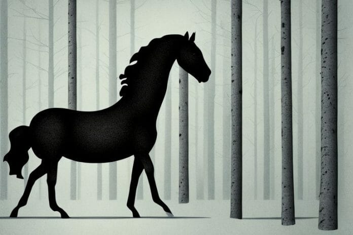 A black horse in a forest setting in polokwane