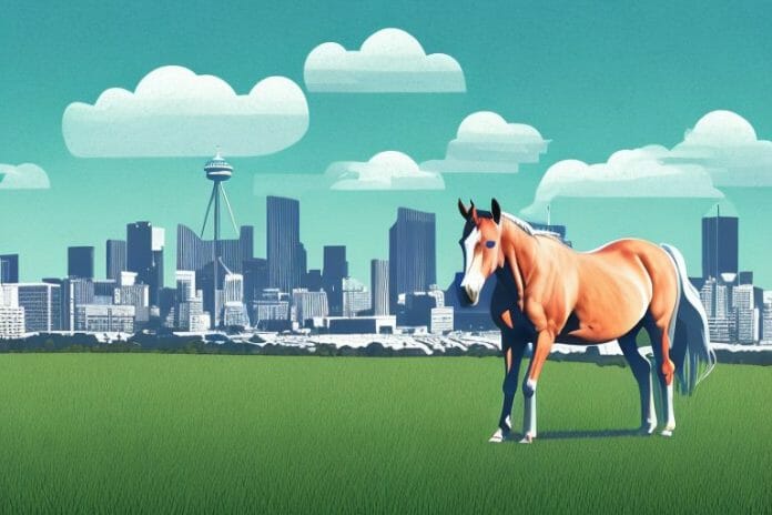 A horse in a paddock with the newcastle