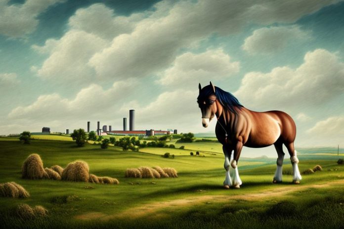 An irish draught horse in a rural landscape