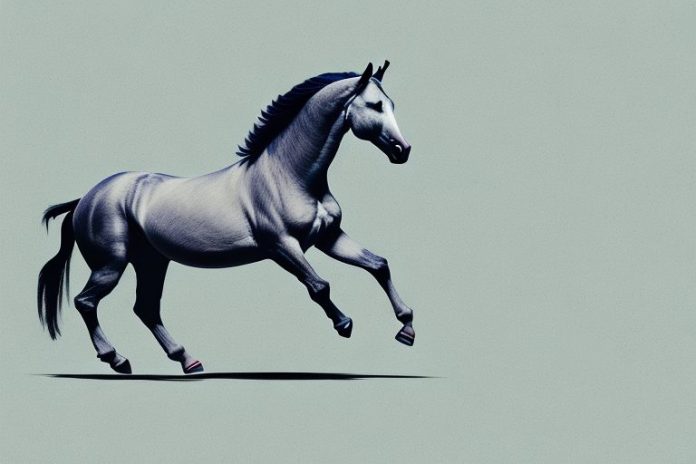 A marwari horse galloping through the countryside of pietermaritzburg