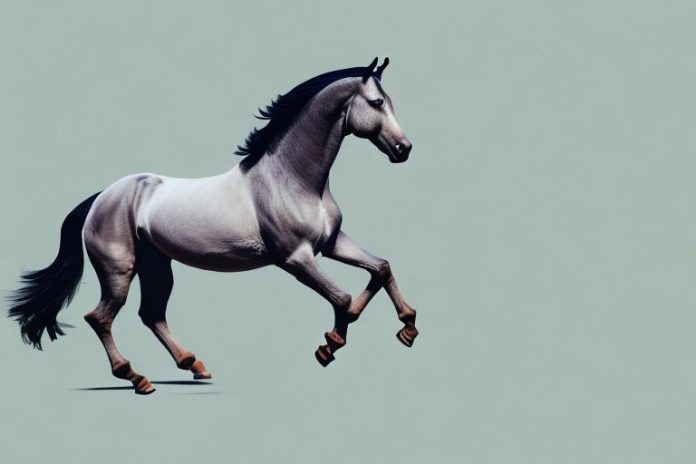 A marwari horse galloping through the countryside of newcastle