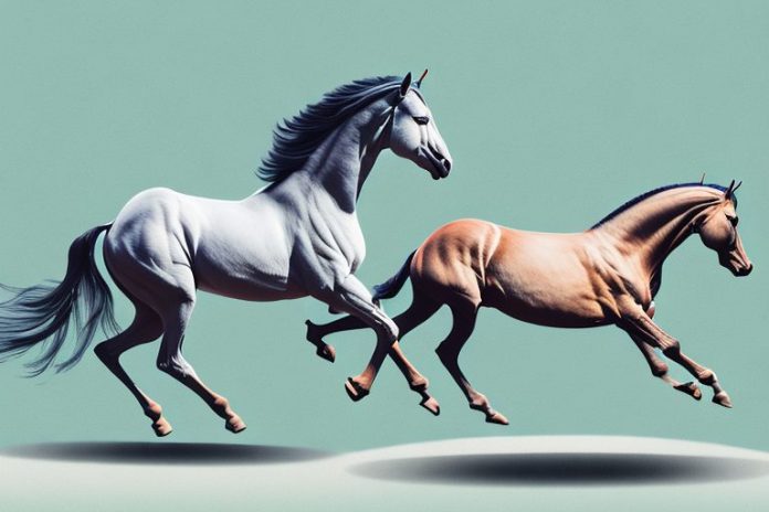 A marwari horse galloping through a scenic pinetown landscape