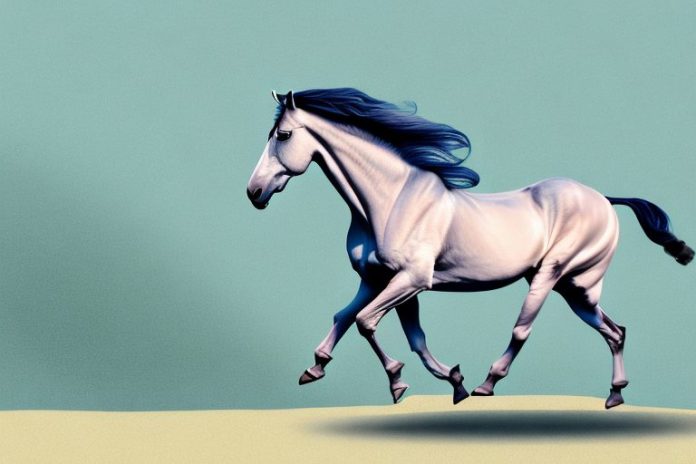 A marwari horse galloping through a scenic landscape in port alfred