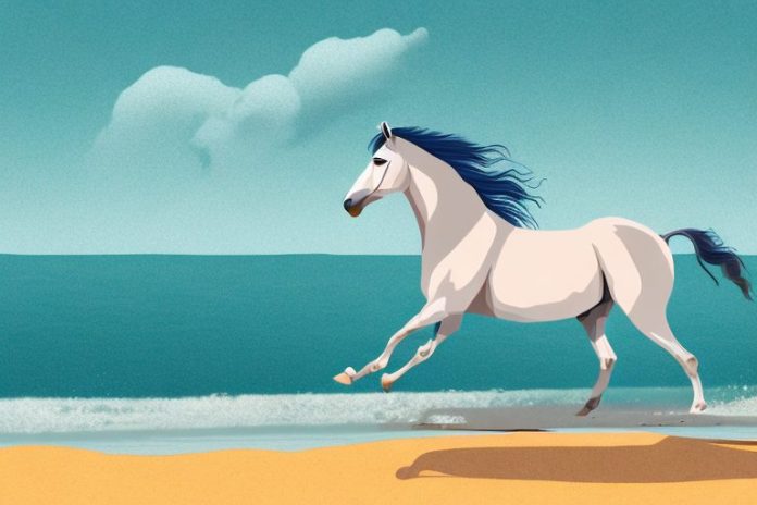 A marwari horse galloping along a beach in jeffreys bay