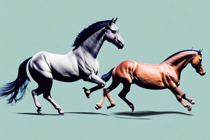 A marwari horse galloping through the landscape of harrismith