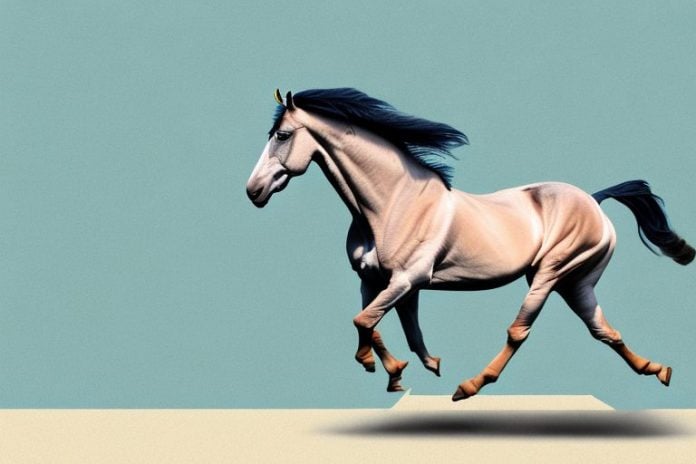 A marwari horse galloping through the countryside of ficksburg