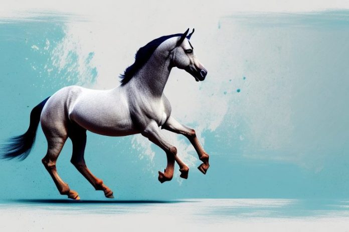 A marwari horse galloping through a white river