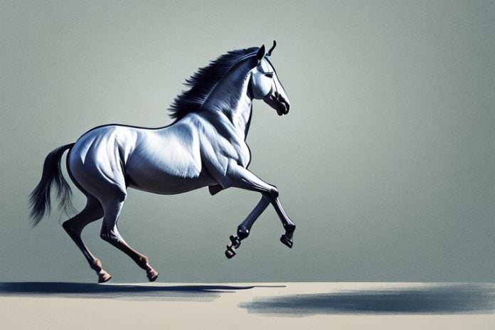 A marwari horse galloping through the countryside of lydenburg