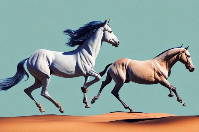 A marwari horse galloping through a desert landscape