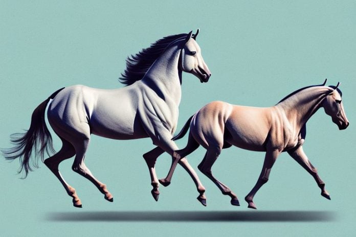 A marwari horse galloping through the landscape of mafikeng