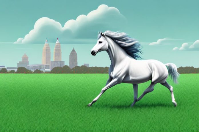 A cleveland bay horse galloping through a grassy field in gauteng