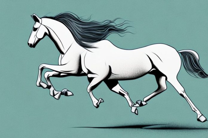 A trakehner horse galloping in a field in randburg