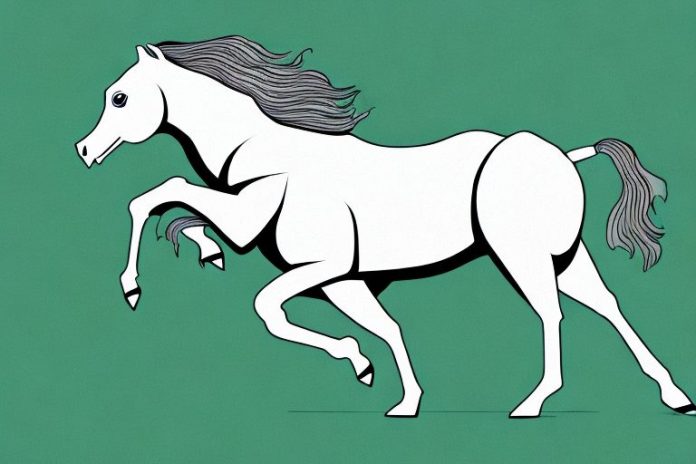 A kathiawari horse galloping in a grassy field in centurion